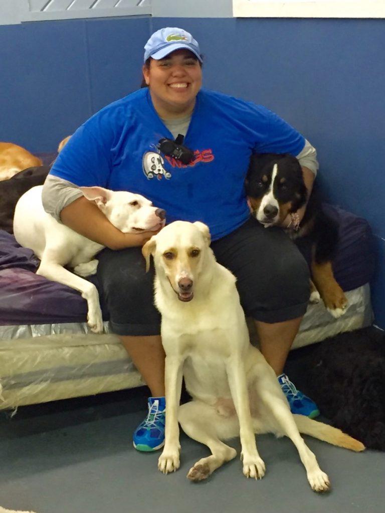 Lindsey Wags Doggie Daycamp & Boarding Danbury CT